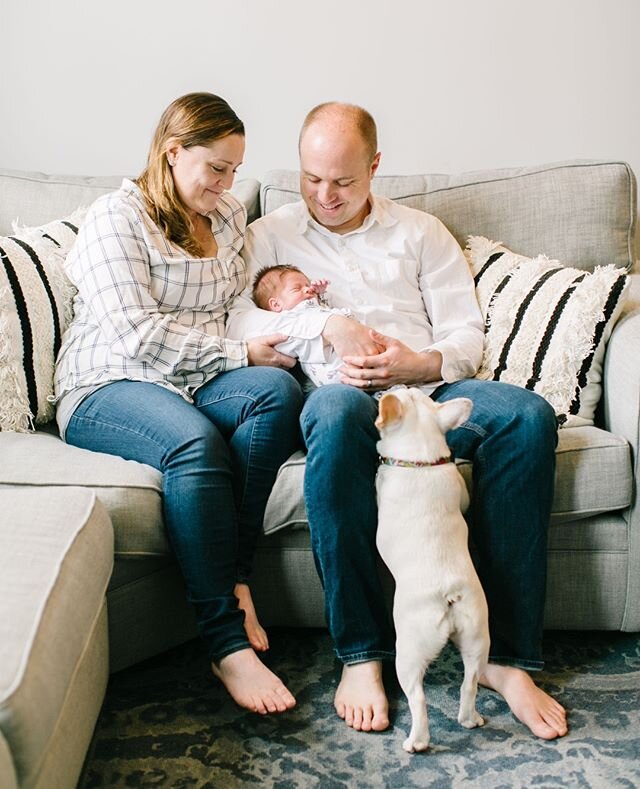 The sweetest little newborn nugget... and fur baby too. ⁠
⁠
Capturing these moments is everything and looking back on memories of the &quot;newborn stage&quot; is always incredible. Every time I go to a newborn session I'm reminded of how teeny tiny newborns are... they fit so perfectly into your hands and arms, I love the snuggle.