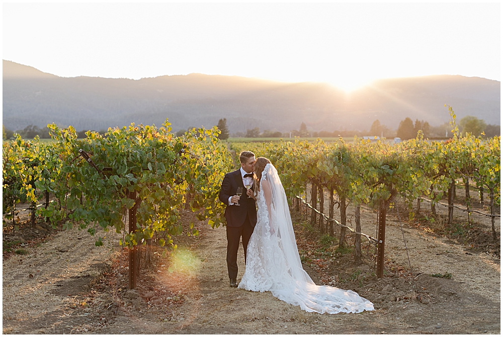 Vineyard sunset photos with bride and groom