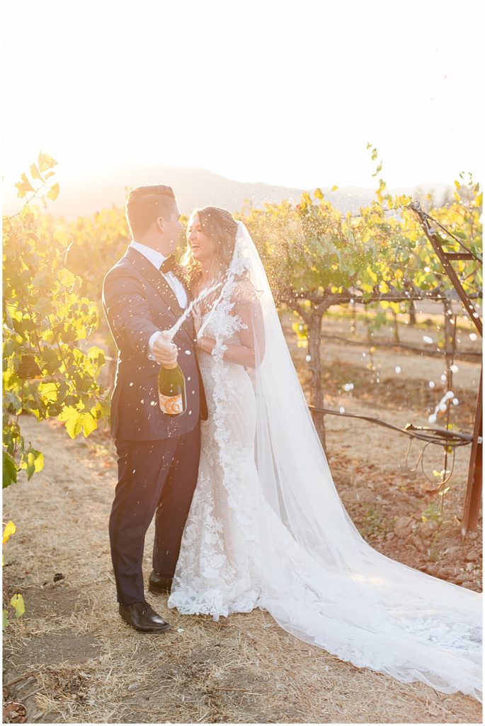 Sunset portraits in a vineyard with bride and groom